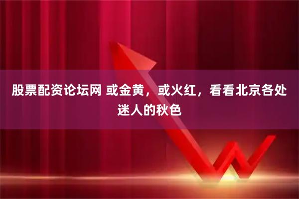 股票配资论坛网 或金黄，或火红，看看北京各处迷人的秋色