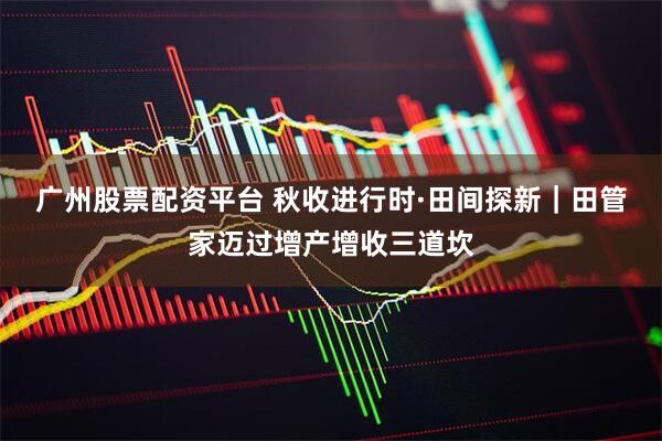 广州股票配资平台 秋收进行时·田间探新｜田管家迈过增产增收三道坎